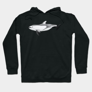 Pacific White Sided Dolphin Hoodie